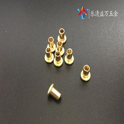 LQYW空心鉚釘 電動車座椅定位銷的核心五金配件